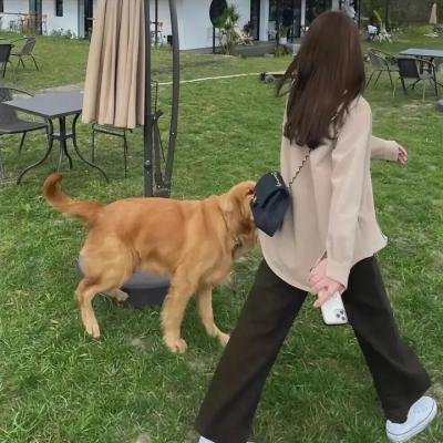 来自阴道