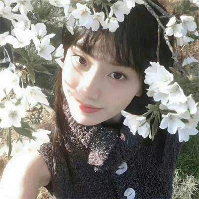 与鲸共舞第一季