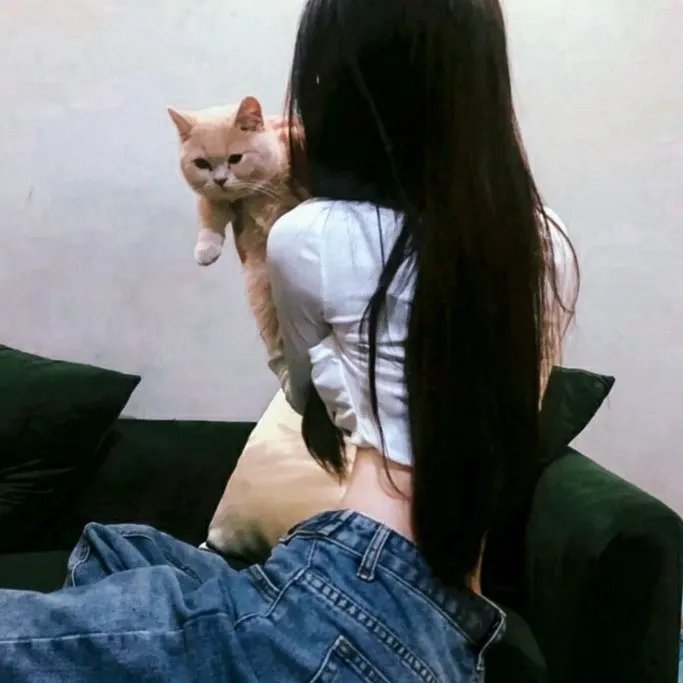 回西藏